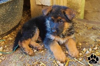 JERRY LEE